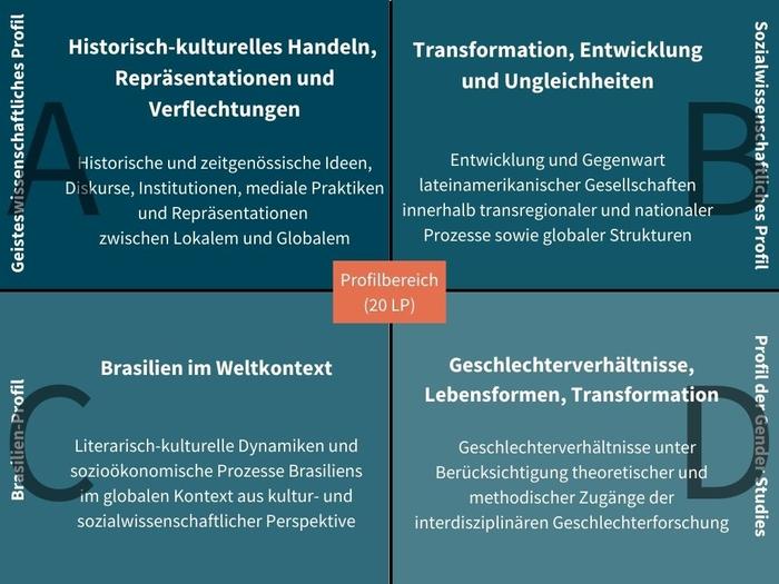 Die Profile des Masterstudiengangs im Überblick